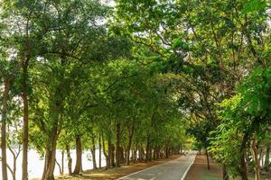 sentier et magnifique des arbres Piste pour fonctionnement ou en marchant et cyclisme se détendre dans le parc photo