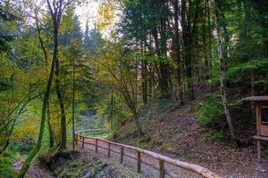 palissade de protection sur chemin de montagne photo