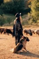 Berger femelle avec un chien broute un troupeau sur la pelouse photo