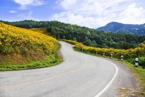 route sur une montagne photo