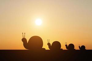 silhouette d & # 39; un escargot sur fond de coucher de soleil