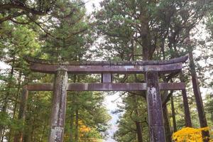 Porte de pierre au sanctuaire toshogu au Japon photo