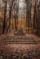 escalier en pierre recouvert de feuilles d'automne photo