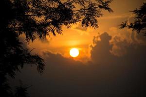 coucher de soleil dans les bois photo