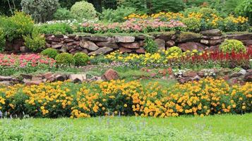 parterres de fleurs photo