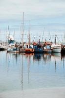 hout baie, cap ville, Sud Afrique photo