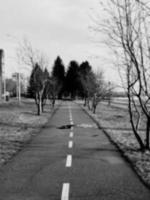 flou Contexte. bokeh. chemin, des arbres, route, marquage. une flou la nature parc. photo