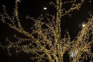 arbre dans guirlandes dans parc. guirlandes dans ville. Jaune lumière ampoules sur artificiel bois. photo