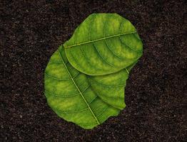 nauru carte fabriqué de vert feuilles sur sol Contexte écologie concept photo