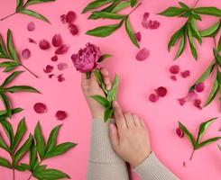 deux mains de une Jeune fille avec lisse peau et une rouge pivoine photo