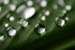 de nombreuses gouttelettes d'eau sur les feuilles de bananier photo