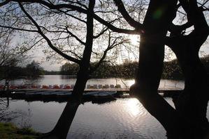 petit lac en westphalie photo