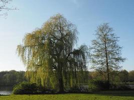 Lac dans le allemand pays de munster photo