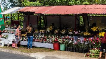 tomohon, indonésie décembre 2022, un magasin de fleurs animé avant la nouvelle année photo