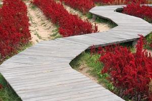 vieux en bois passerelle pour à la recherche à le fleur jardin photo