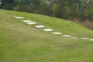 vert herbe colline Contexte dans le jardin photo