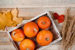 plat d'automne la. citrouilles mûres, épis de blé et feuilles mortes sur fond en bois. concept de récolte et d'action de grâces. photo