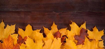 cadre de feuilles d'automne jaunes sur un fond en bois marron. feuillage tombé. toile de fond pour la conception. photo