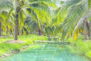 le bleu l'eau surface est entouré par noix de coco bosquets dans du sud Thaïlande. photo