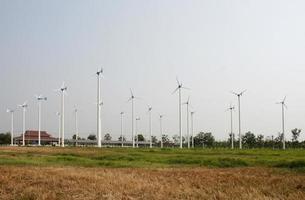 éoliennes dans un champ photo