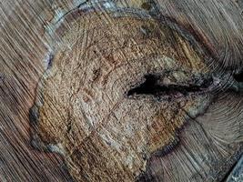 bois texture fond surface vieux modèle naturel photo