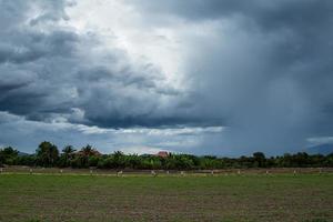 nuages de pluie ou nimbus en saison des pluies photo