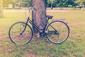 ancien vélo dans jardin avec arbre photo