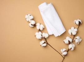 plié blanc coton éponge serviette et brins de coton fleur sur une lumière marron arrière-plan, Haut vue photo
