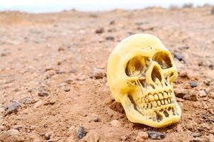 Plastique crâne dans le désert photo