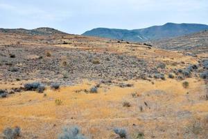 vue panoramique sur le désert photo