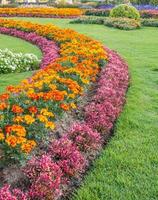 coloré parterres de fleurs et enroulement herbe sentier dans un attrayant photo