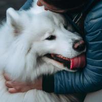 mignonne avec chien photo