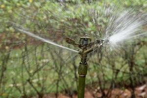 arroseur tuyau Provisions l'eau à les terres agricoles. photo