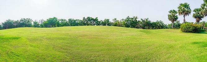 panorama vert herbe sur le golf champ photo