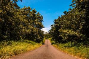 vide route par forêt avec bleu ciel photo