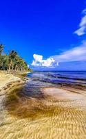 plage mexicaine tropicale eau turquoise claire playa del carmen mexique. photo