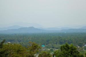 forêt sur les montagnes photo