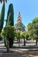 vue de le cloche la tour de le cathédrale mezquita-cathédrale de le Orange Cour patio de los naranjos dans Cordoue, Espagne. photo