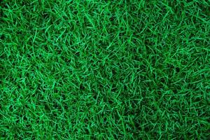 texture d'herbe verte naturelle avec des gouttelettes d'eau. fond de terrain de golf ou de football parfait. vue de dessus photo