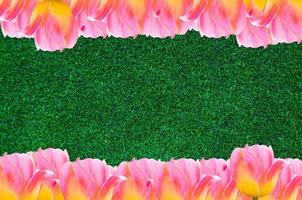 tulipes, Cadre Frais printemps tulipes fleurs avec espace pour texte sur herbe Contexte photo