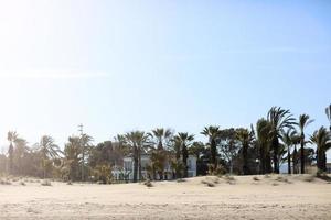 blanc gros villa entre paume sur plage par le mer dans Espagne. haute qualité photo