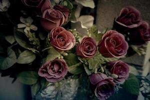 des roses dans le cimetière photo