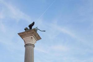 le ailé Lion de Venise sur Haut de le colonne de san Marco, Venise - Italie photo