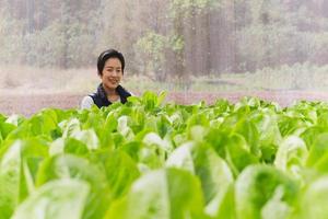 asiatique femme propriétaire permanent dans hydroponique biologique légume cultiver. photo