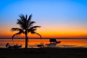 coucher de soleil coloré avec un palmier photo