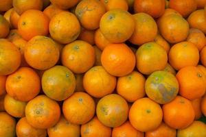 gros plan d'oranges naturelles photo