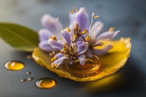 fait maison et savoureux frit lilas fleur dans tournesol pétrole la photographie photo