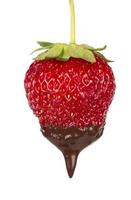 des fraises avec Chocolat plongement isolé sur blanche. Chocolat égouttage de des fraises. magnifique rouge baie. photo