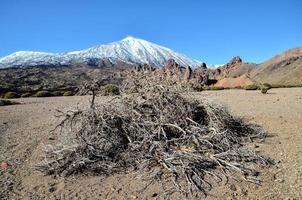 paysage de montagne pittoresque photo