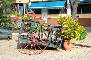 métal le chariot avec les plantes photo